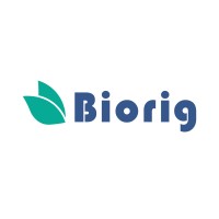 Biorig logo - Similar company to Solaring Plus