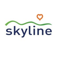 Skyline IFE Ltd logo - Similar company to Utalk.Com