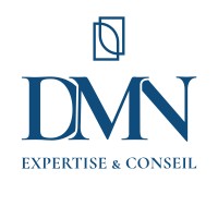 DMN EXPERTISE & CONSEIL logo - Similar company to Expertise Finance