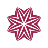 Vis Verum Ltd. logo - Similar company to Lebăda.Ro