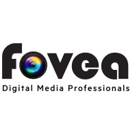 Fovea Commercial Photographs Production LLC logo - Similar company to Dt Studio