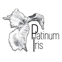 PLATINUM IRIS logo - Similar company to Platinum Energy