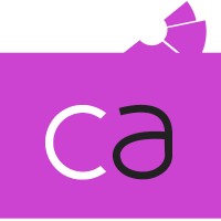 Custom Analytics logo - Similar company to Report Simple