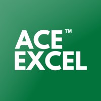 Ace Excel logo - Similar company to Wisergates