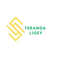Teranga_Ligey logo - Similar company to Sargal Tech