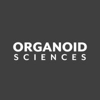 ORGANOIDSCIENCES 오가노이드사이언스 logo - Similar company to Synuclein Meeting