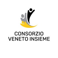 Consorzio Veneto Insieme logo - Similar company to Boldrin Anselmo S.R.L.
