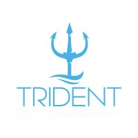 Trident Watches Limited logo - Similar company to Cliff It Solutions Inc.