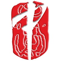 Design & Digital Technology Services Ltd. logo - Similar company to Tbmsoft Digital Technology Services