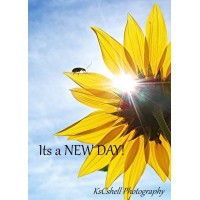 Sunnneee Side Up! (My Personal Blog)