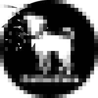 CollarCare *acquired by HUNTER logo - Similar company to Porthy