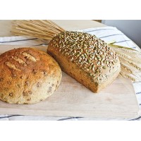 Great Harvest Bread Company Charlotte logo - Similar company to Great Harvest Bread Co.