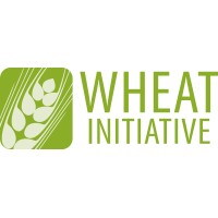Wheat Initiative logo - Similar company to Phenet