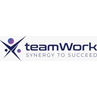 teamWork Info Solutions logo - Similar company to Keyx Learn ( A Unit Of Keyx Exploration Labs Pvt. Ltd.)