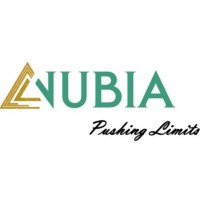 NUBIA logo - Similar company to Timenavi