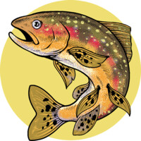 Middle River Outfitters logo - Similar company to Hutton Fly