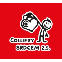 Colliery SRDCEM logo - Similar company to Everest Technology Solutions