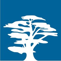 Mitec Consulting logo - Similar company to Techris Consulting Limited