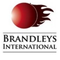 Brandleys International Ltd. logo - Similar company to Nexus By 3Us