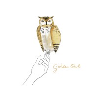 Golden Owl Management logo - Similar company to Enid