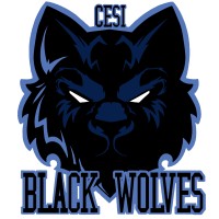 Bds Black Wolves Cesi Toulouse