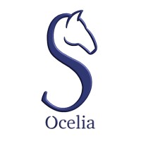 Ocelia LTD logo - Similar company to Hamdan El Madi
