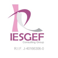 Iesgef Consulting Group logo - Similar company to Crypto-Esb