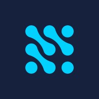 Digital Bridges logo - Similar company to Reneum Labs