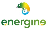 Energine S.r.l. logo - Similar company to Evergreen Solutions Group