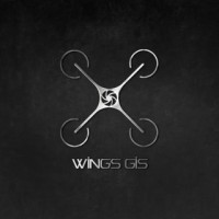 Wings GIS logo - Similar company to D.S. Group Ltd.