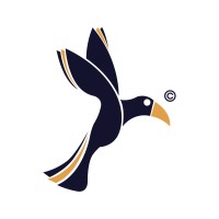 Silkroute™ logo - Similar company to Silk Route
