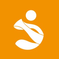 goldsteps consulting GmbH & Co. KG logo - Similar company to 4Drivetech Llc