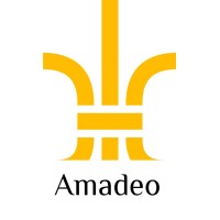 Amadeo Consultancy Pvt. Ltd. logo - Similar company to Beyond Consultancy