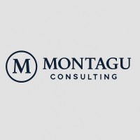 Montagu Consulting logo - Similar company to Skyflo Digital