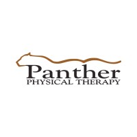 Panther Physical Therapy logo - Similar company to Excel Rehab & Sports