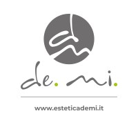 DE.MI. SRL logo - Similar company to Pablo Delgado