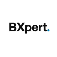 BXpert Consulting logo - Similar company to White Bx Project