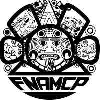 ASOCIACION MEXICANA DE CONTADORES PUBLICOS COLEGIO PROFESIONAL VERACRUZ CENTRO logo - Similar company to Amcpdf
