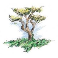 Ivyland Counseling Center logo - Similar company to St. Luke'S Penn Foundation