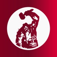 Vulcano Empresa Jr logo - Similar company to Saebb Utfpr-Pg