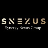 Synergy Nexus Group (SNEXUS) logo - Similar company to Interno Group