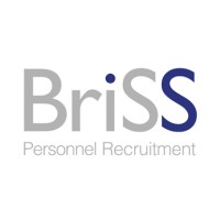 Briss Personnel Recruitment logo - Similar company to Treasurer Search
