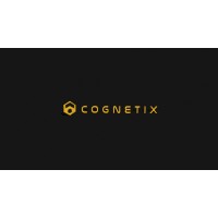 Cognetix netowrk logo - Similar company to Knowledgeable Holdings Llc