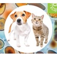 Companion Animal Health Webinar logo - Similar company to Nagamma Transport Inc