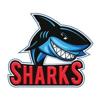 SLAM! Apollo Beach logo - Similar company to Bmg Digital Tech