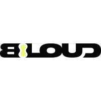 Beloud Marketing logo - Similar company to Plus Advise Steuerberatungsgesellschaft