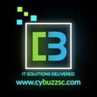 CyBuzzSC Infotech Pvt. Ltd. logo - Similar company to Daanmaan