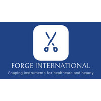 Forge International logo - Similar company to Openventpk