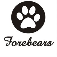 Forebears Global Services Private Limited logo - Similar company to Throwmeamovie