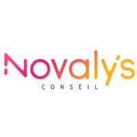 Novalys-Conseil en Supply Chain logo - Similar company to Idee+ Solutions Expert En Supply Chain & Logistique